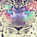 Abigail Ojeda - @AbigailBieber69 - Twitter