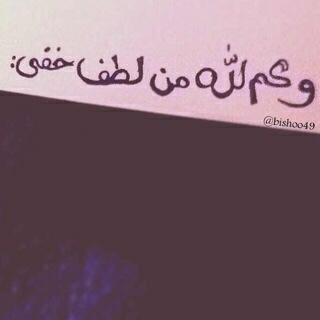 لا إله إلا الله وحده لاشريك له ، اللهم إنّي اسألك الجنة وأستجيرُ بك من النار.