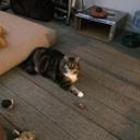 Gerald Weatherall - @anttrapper - Twitter