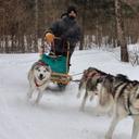 Greg Macdonald - @PonzzMacdonald - Twitter