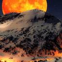 donna collier - @donnacollier18 - Twitter