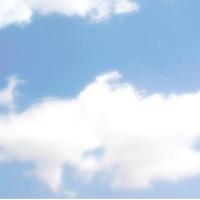 AcceptingEvangelical (@acceptingevangl) 's Twitter Profile