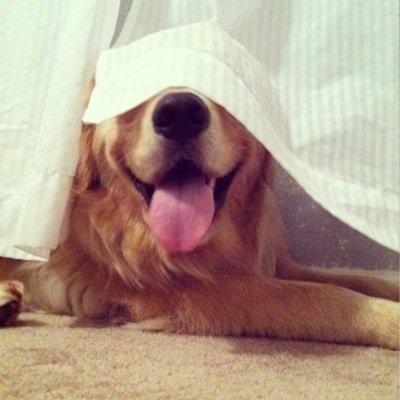 今まで見た芸人のネタで衝撃的なオチのネタは何ですか Twitter Search Twitter