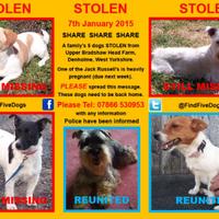 #FindFiveDogs (@findfivedogs) 's Twitter Profile