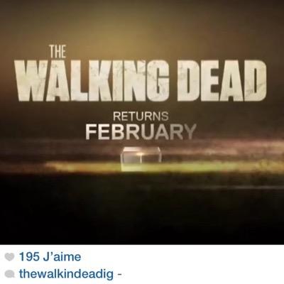 ~the walking dead~ *•* its a perfect series