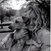 Joanna Hulin (@joeyhulin) Twitter profile photo