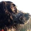 Amanda Mustard - @AmandaMustard1 - Twitter