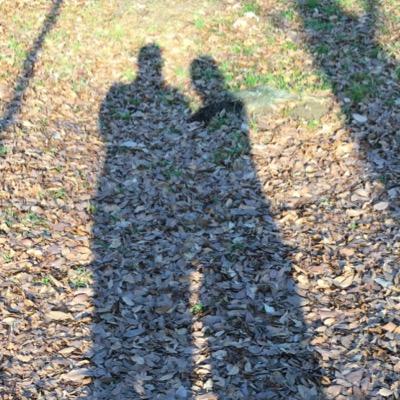海辺の暮らし。17歳〜18歳の北アフリカ・中東・ユーラシア大陸横断の旅。19歳の台湾・インド・インドシナの旅を回想。ほかに文学や映画、アート関連。 最近はクラシックも。今でも時折、旅しています。東京→沖縄