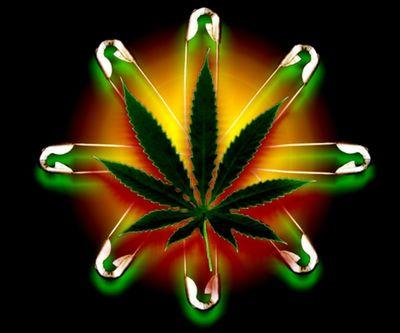 brandonhilton26's profile picture. 