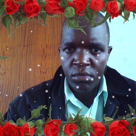 ominoadams's profile picture. 