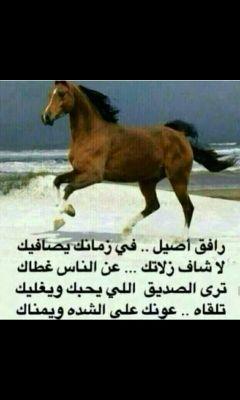 سبحان الله العلي العظيم القدير