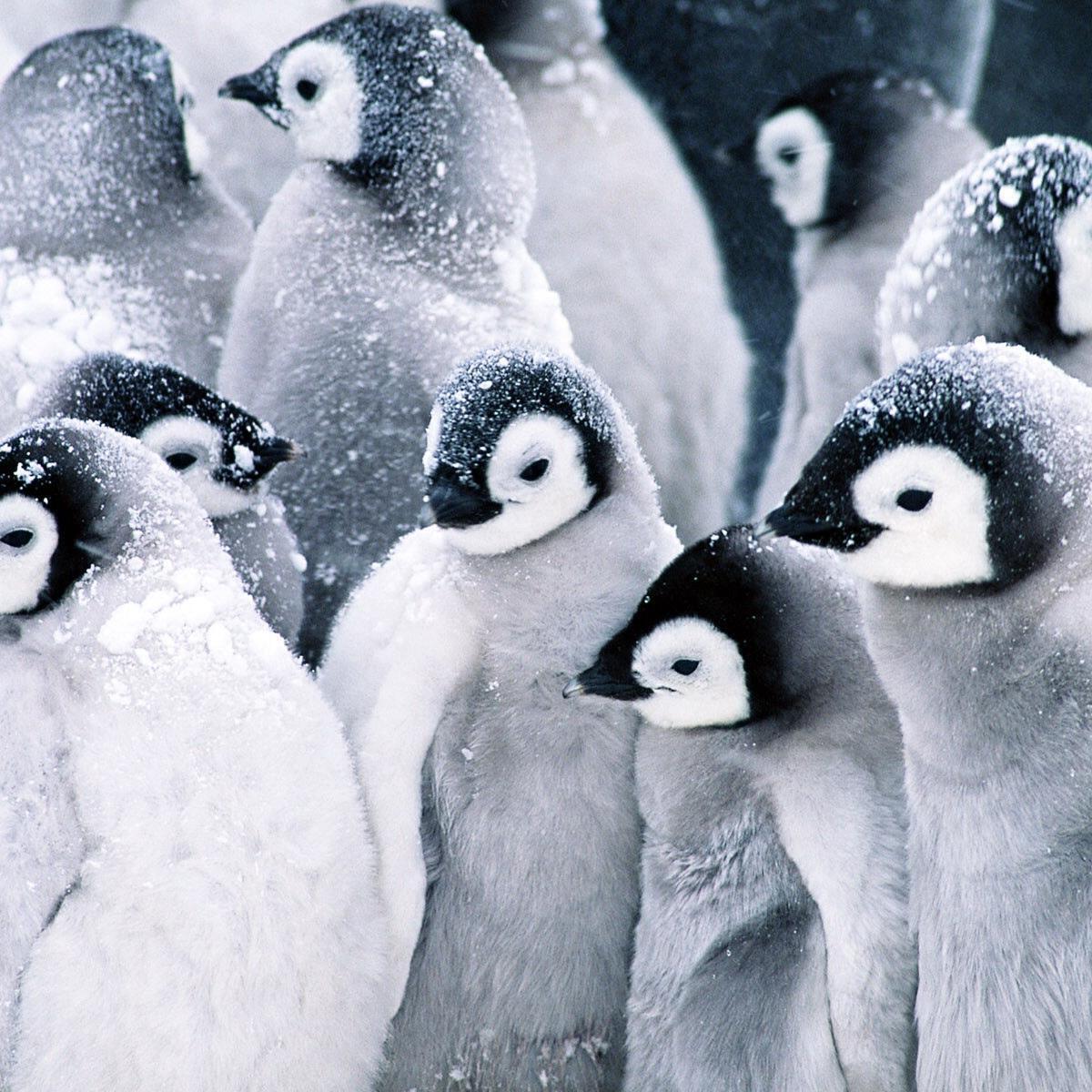 Linux Kernel, Networking, SDN Pioneer