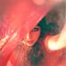 Shilpa Mukerji Photography (@shilpamukerji) Twitter profile photo Shilpa Mukerji Photography (@shilpamukerji) Twitter profile photo