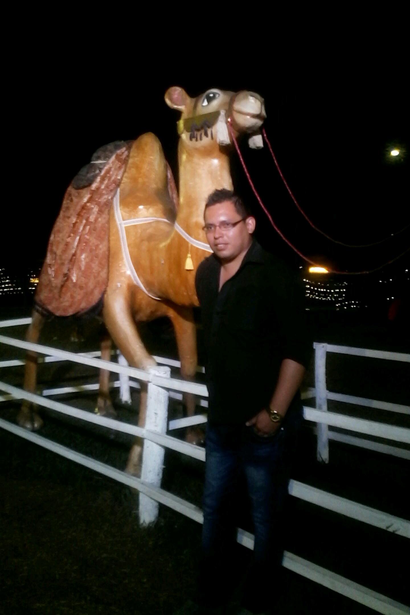 norkegf's profile picture. 