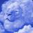 HedenAklowd's profile image