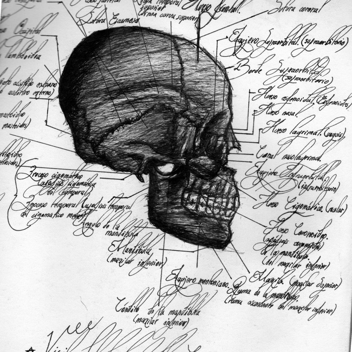 [future] MD.Neurosurgeon /multi-instrumentalist Musician /Writer: poet, novelist, screenwriter /Artist Anatomist /amateur photographer /lover to life.