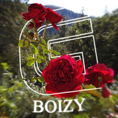 a black trickshotter GT:Boizy Doe