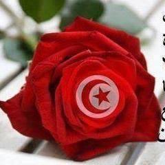 sof31000's profile picture. 