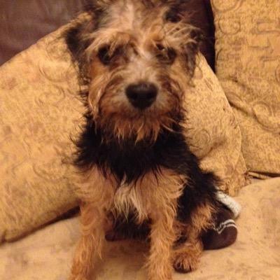 nye2091's profile picture. 