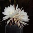 sherry exley - @Sheexley - Twitter