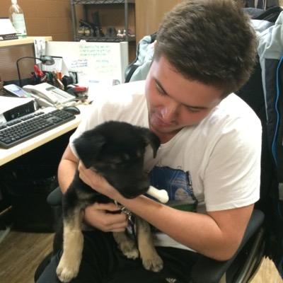 AFornalGollop's profile picture. Insert witty bio here...