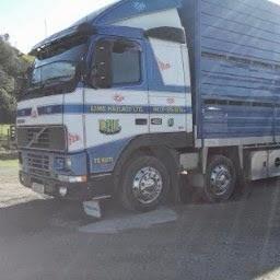 Livestock Trucker