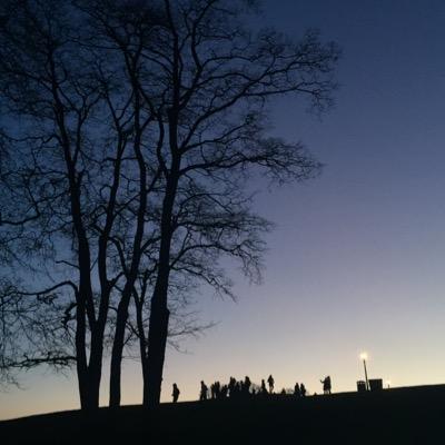 JuliaFMolnar's profile picture. 