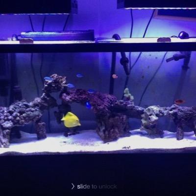 fishkeepermaste's profile picture. 