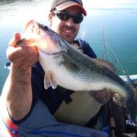francisco gines (@ginescubi) 's Twitter Profile