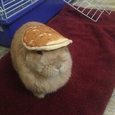 WamboEdits's profile picture. 