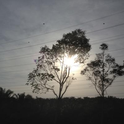 charsiewrice's profile picture. 