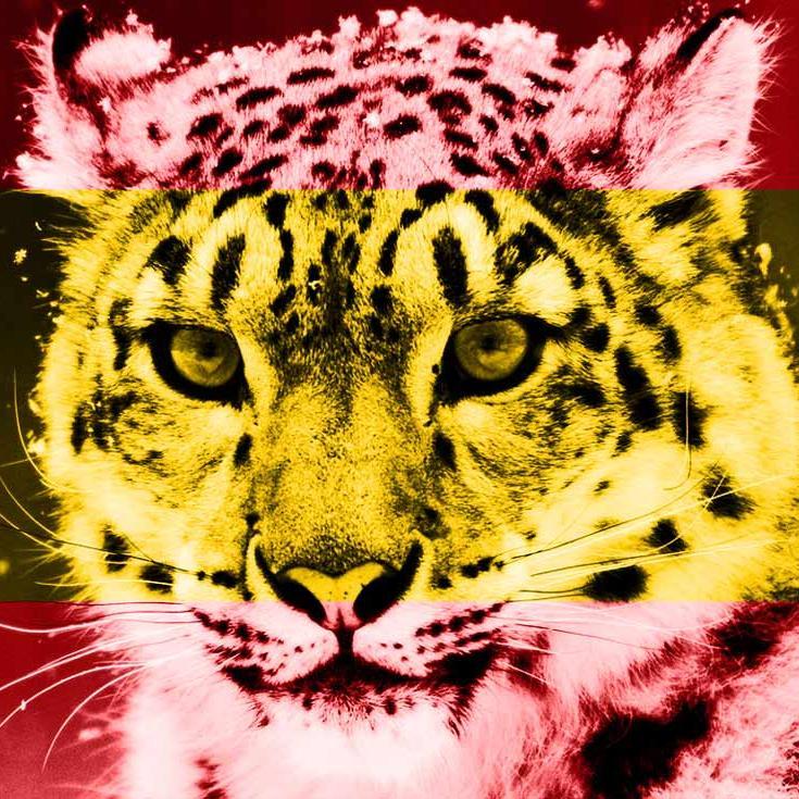 EntrenoExtremo's profile picture. Culto al Entrenamiento, a las Artes Marciales y a la Música