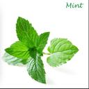 Flynn Skidmore - @minty_gamer_ - Twitter