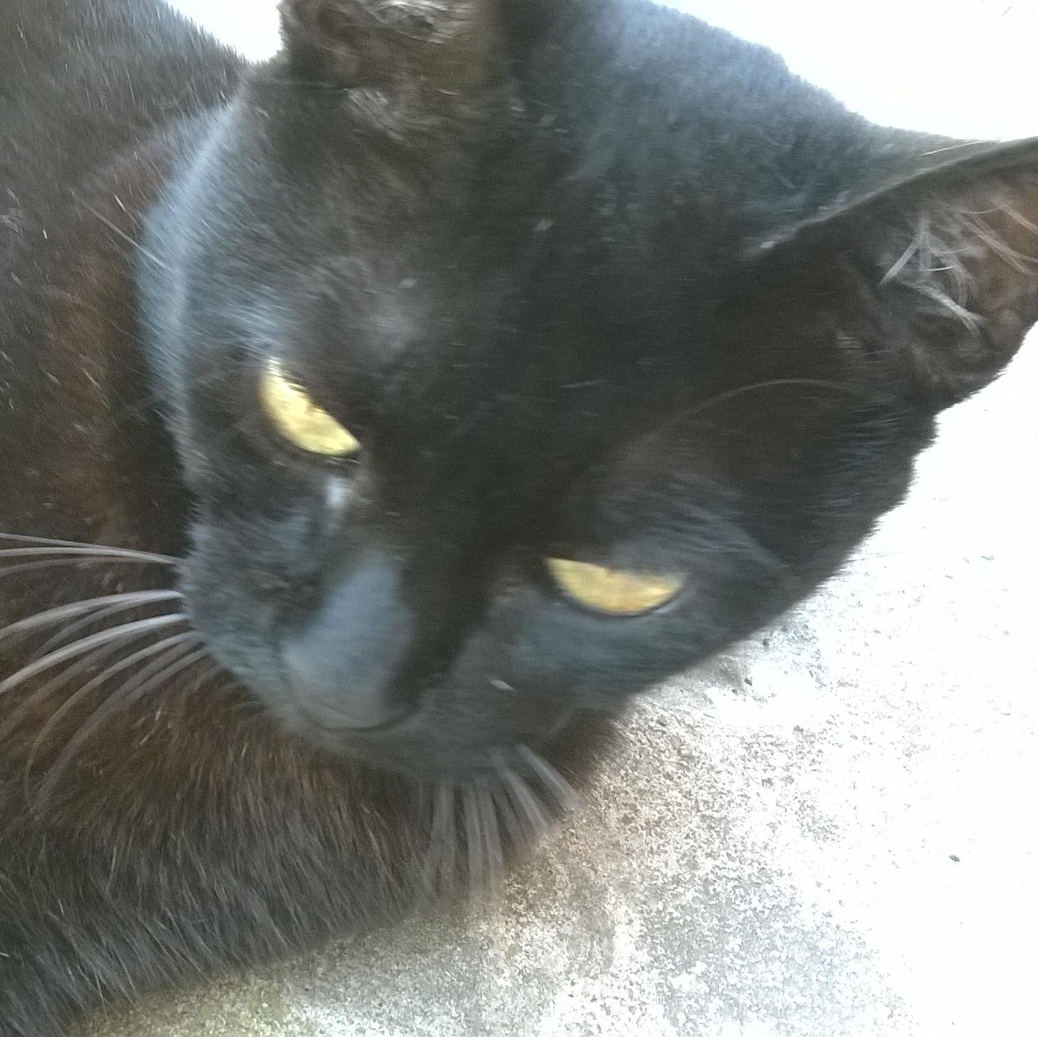 RamonaFlowers26's profile picture. http://t.co/EiVFDANXNB...