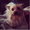 Edith Posada Wotto - @edypwotto - Twitter