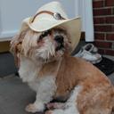 Donna Rizzo - @delprete57 - Twitter