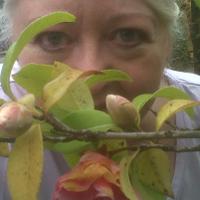 Rosalyn Morrow (@maribelstar77) 's Twitter Profile