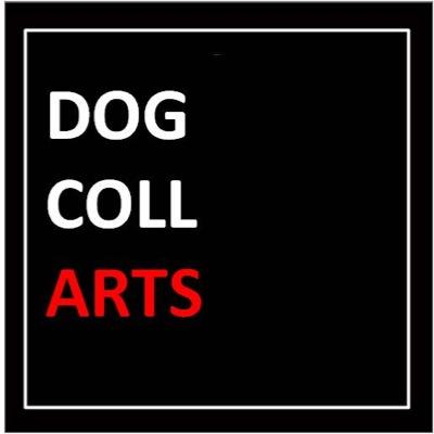 dogcollARTS Profile Picture