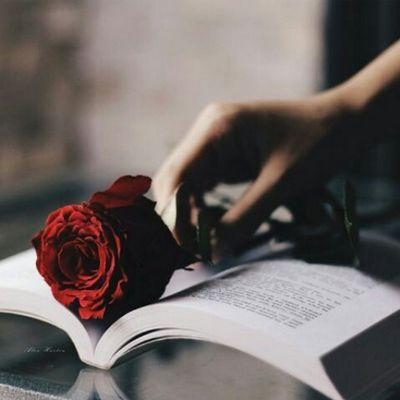 - حِزن إلفراق احتوانا،والحَلم أصبّح سراب..