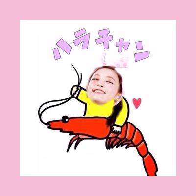 ○99(98)line ❥❥KARA / 知英 / Nicole *3rd KARASIA参戦*@くれたらフォロバします!