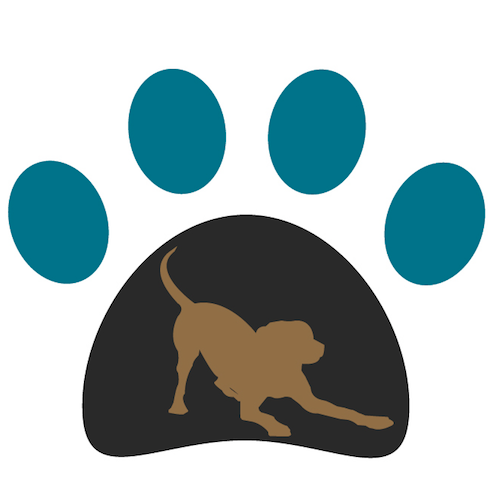 Specialising in all things dog care, Winchester based Happy Hounds is a local dog walking business, and provides dog boarding, doggy day care, and much more.