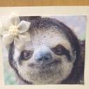 Michele Cary - @CaryThecarys - Twitter