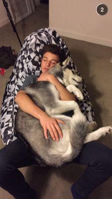 Enquanto tu sofre por 1 garoto , eu sofro por 4 , okay // Magcult//5SOS//