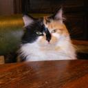 Peggy Otto - @meema12002 - Twitter