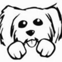 TinyPawsRescue (@tinypawsresq) 's Twitter Profile