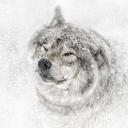 Sam - @SamBuckley10101 - Twitter