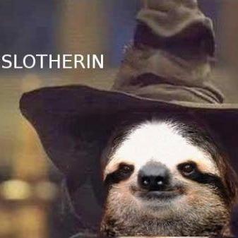 20Too_'s profile picture. Melee Ice Climbers player