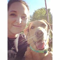 Chloe Isacke (@cisacke) 's Twitter Profile