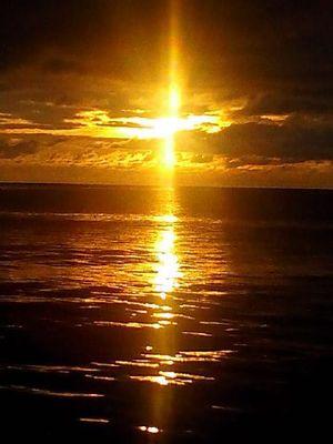 Viviandinlove's profile picture. 