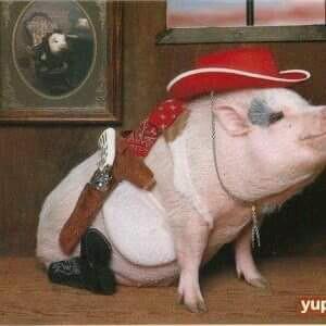 luis19139565's profile picture. Desde playas de Rosarito B.C   puro workin